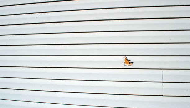 Best Custom Trim and Detailing for Siding  in Haledon, NJ