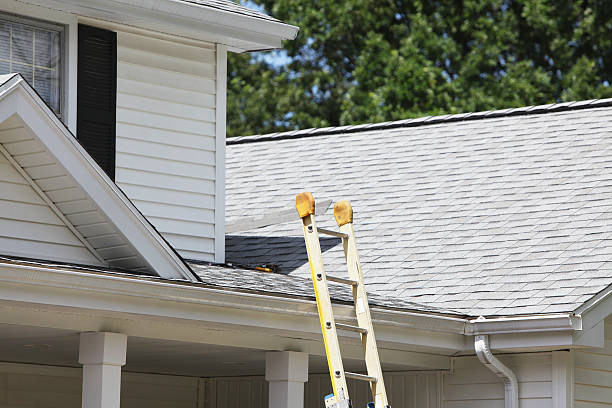 Best Fiber Cement Siding Installation  in Haledon, NJ